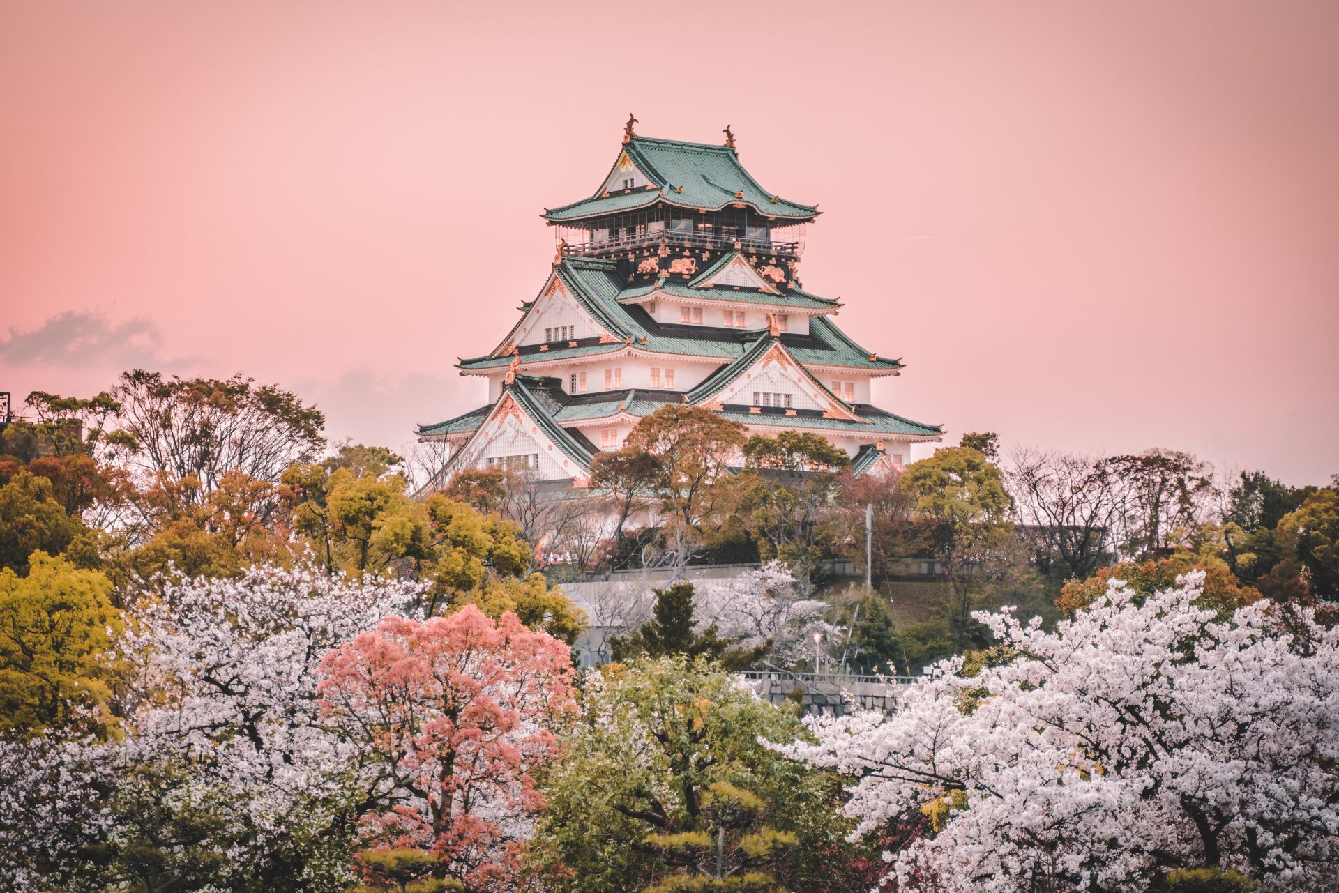 Osaka castle and cherry blossom, with Fuji mountain background